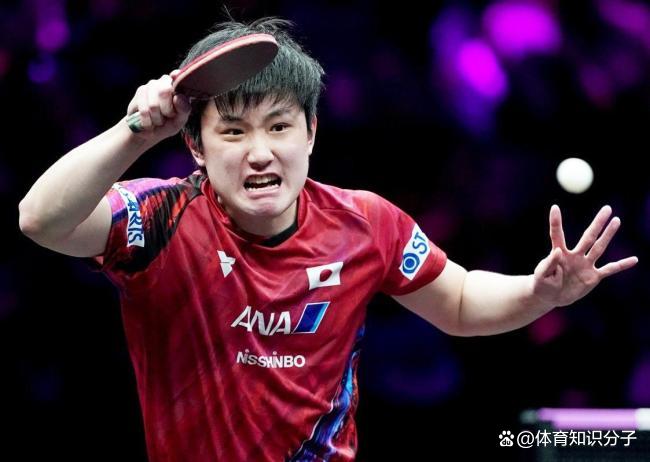 韩国队横扫英格兰队,张本智和状态火热的简单介绍 韩国队横扫英格兰队,张本智和状态火热的简单介绍