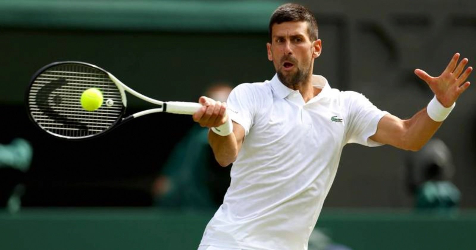 澳网绝杀ATP总决赛，德约科维奇惊艳四座