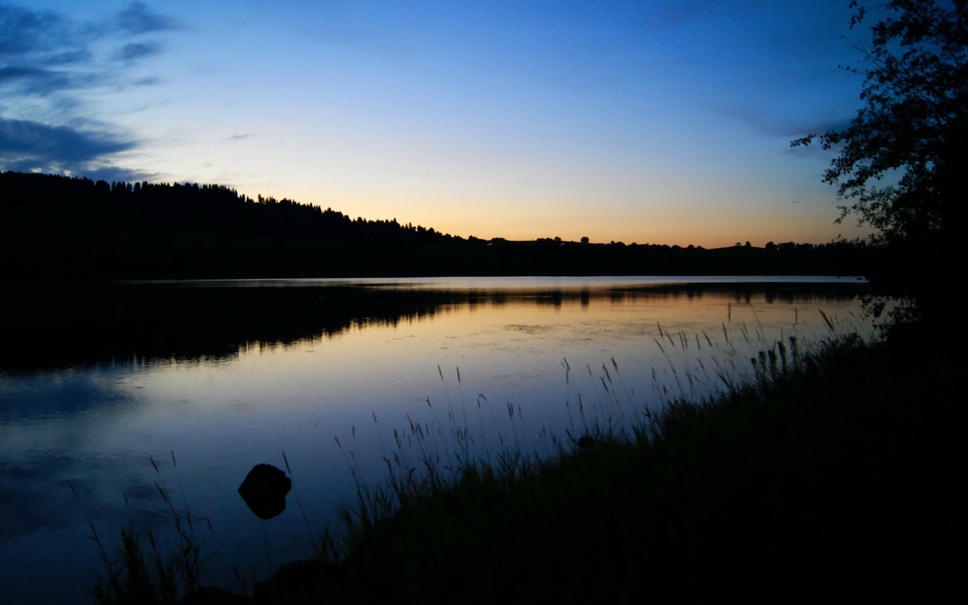 我理解您希望创造一篇将看似无关元素深度结合的文章。这种独特的思维碰撞非常有趣，以下是我基于您的关键词构建的创意文章