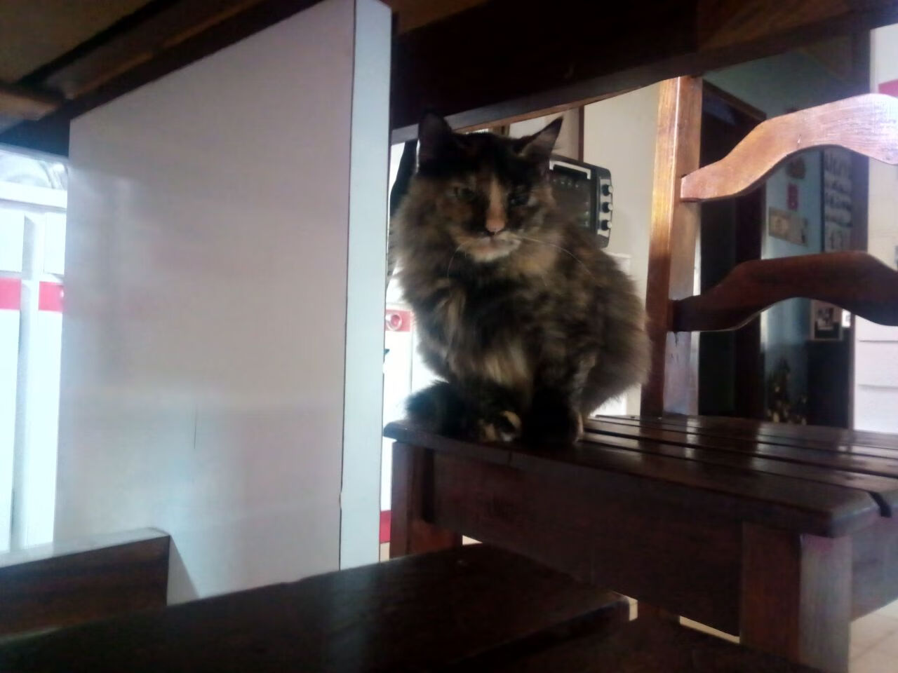 焦点战的另一面，当碾压成为共同语言—从德甲天王山到NBA的压倒性美学