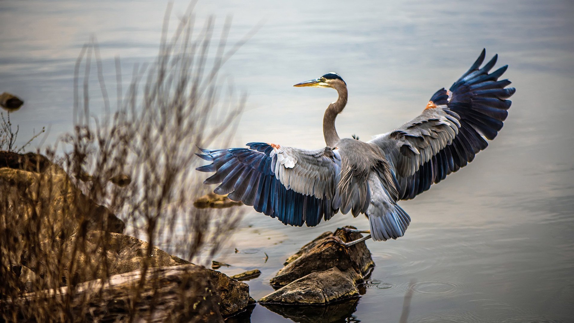 血雾中的雕像，当马刺的团队刀锋遇上无法破解的班凯罗代码