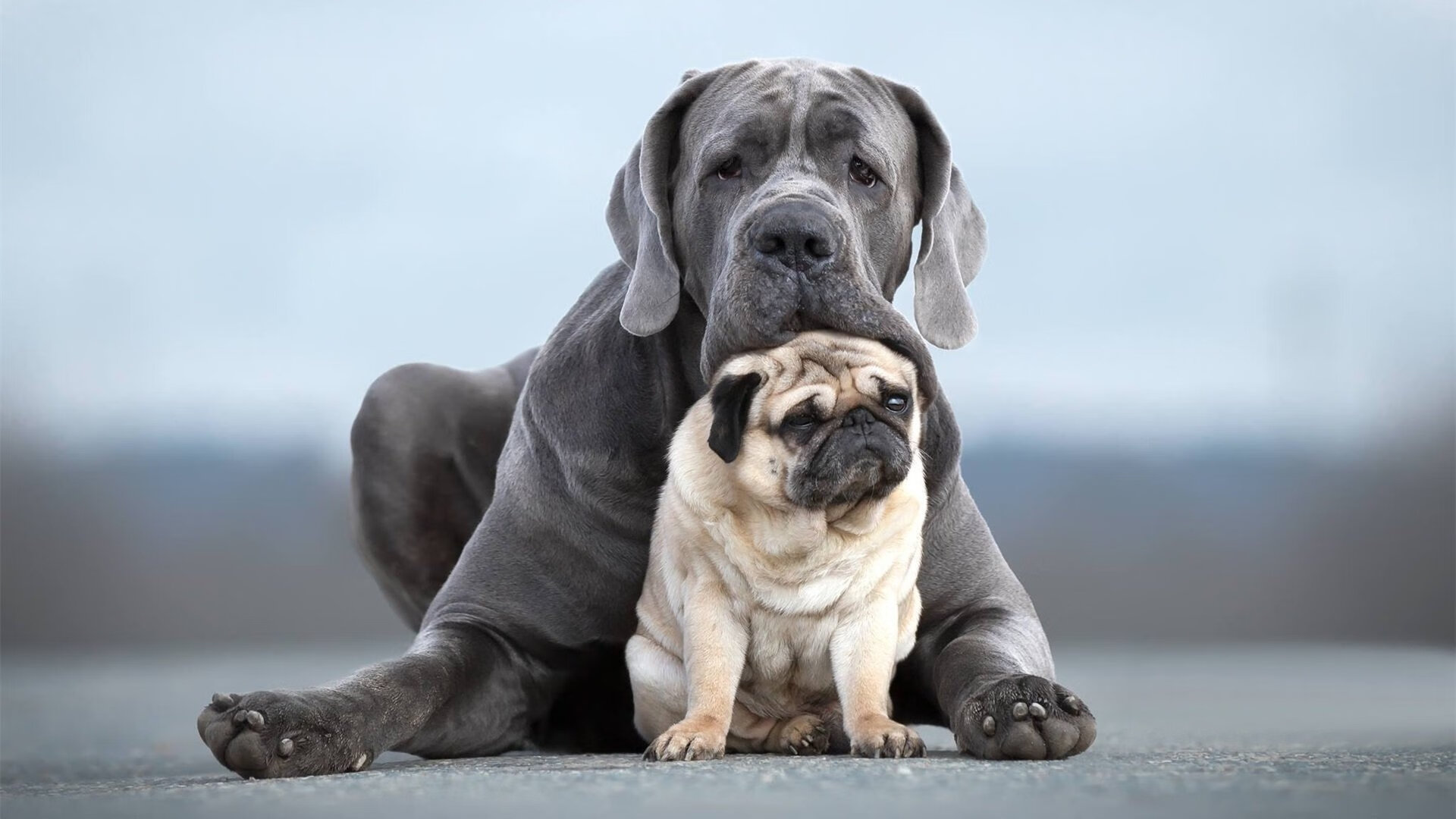冰封南海岸,开拓者铁索阵绞杀热火,克莱关键时刻重现佛光