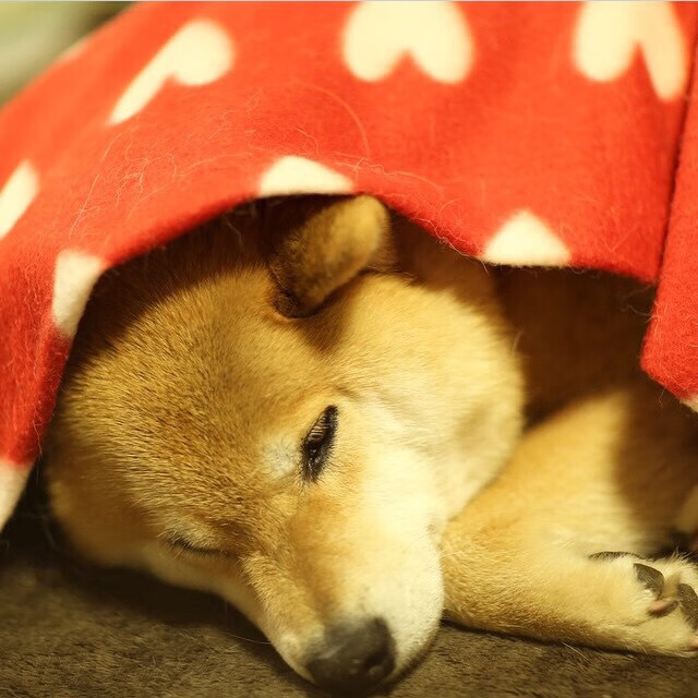 铁壁与洪流之间,金玟哉的硬仗之王炼成记—当英格兰技术风暴遭遇哥斯达黎加钢铁森林