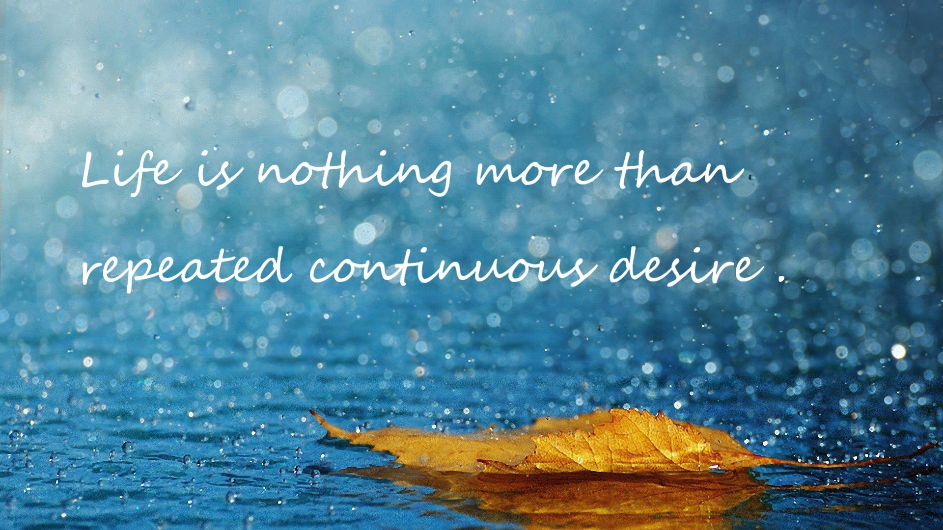 欧冠烽火下的伊比利亚审判,当斗牛士军团粉碎南美最后的铁壁