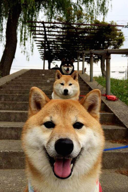 伊斯坦布尔的弯道,阿什拉夫在街道赛上,如何为土耳其跑赢一场地缘政治的超车?