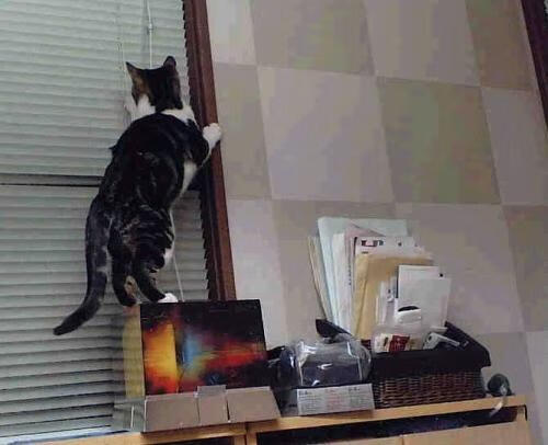 从虚拟球员到关键先生，英格拉姆如何亲手击碎游戏与现实之间的墙？