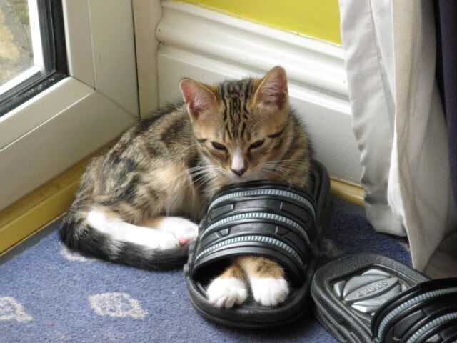 一场没有硝烟的卡位战，智利用高压，把奥运门票抢出火星