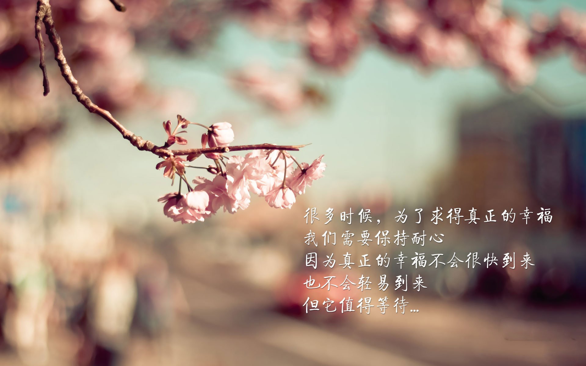 控场密码,利拉德的爆发与辽宁队的节奏—两种篮球哲学的时代烙印