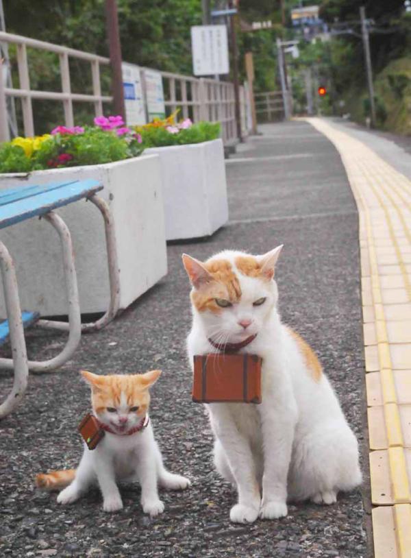 绝唱与序曲,2026世界杯G组,梅西的孤注一掷,奏响瑞典与奥地利的冰与火之歌