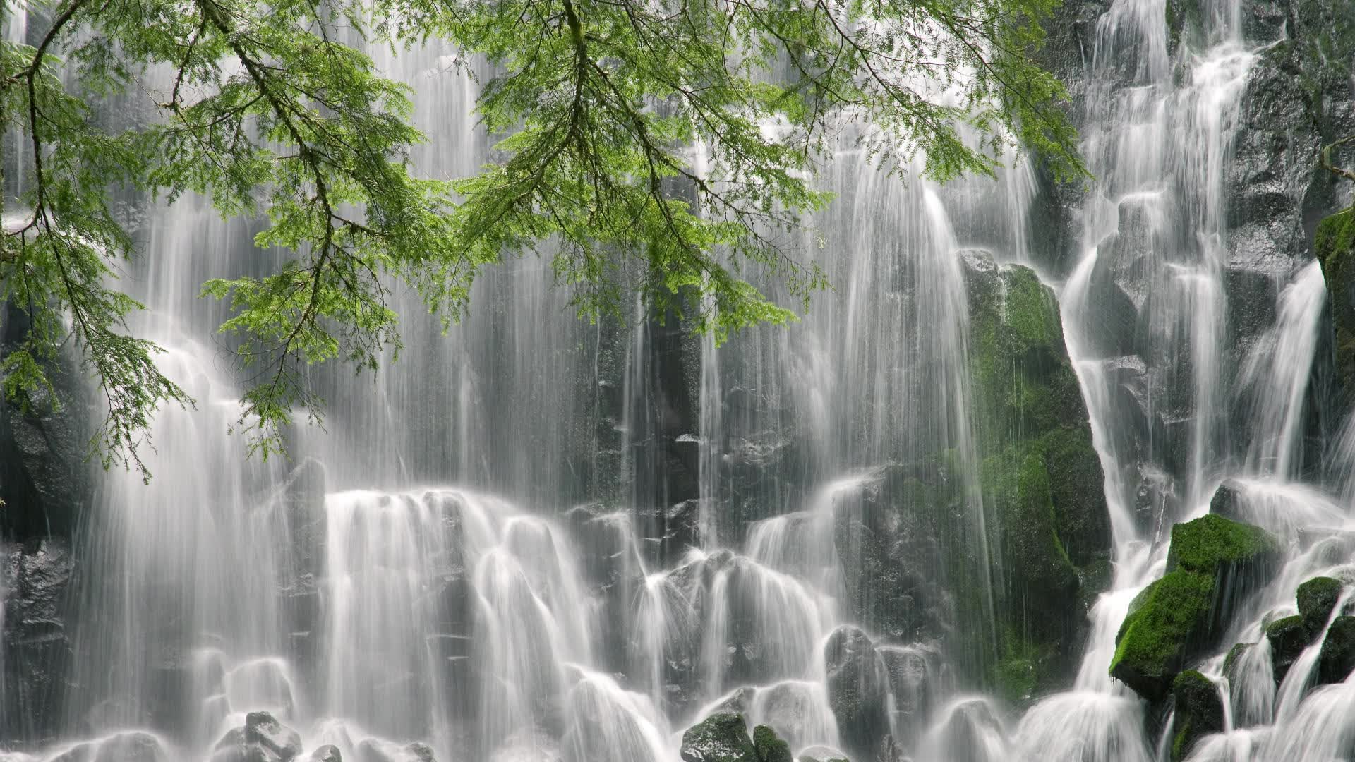 沙漠之狐的利刃,C组死亡之组,姆巴佩独舞难救主,突尼斯补时绝杀德意志战车